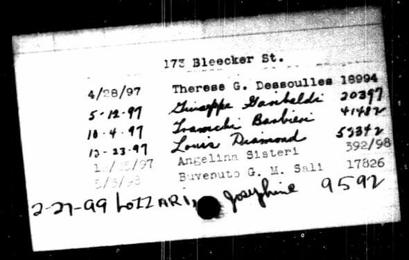 NYC Geographic Birth Index - sample card