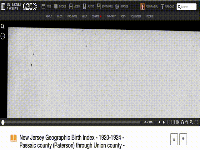 Screen capture of how to search inside New Jersey birth index data
