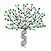 Ancestors Alive podcast - Episode 20 - June 2018 Ancestors Alive podcast - Episode 20 - June 2018